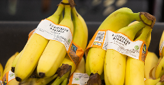 Sainsbury’s reaches living wage goal for banana workers