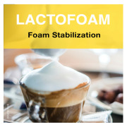Lactofoam® - foam stabilization for an indulgent texture