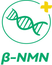 β-nicotinamide mononucleotide (NMN)
