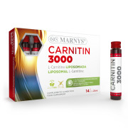 CARNITIN 3000 - Liposomal L-Carnitine