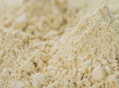pea protein concentrate