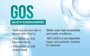 GOS (Galacto oligosaccharides)
