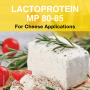 LactoProtein MP 80-85 (MPC 80-85%)