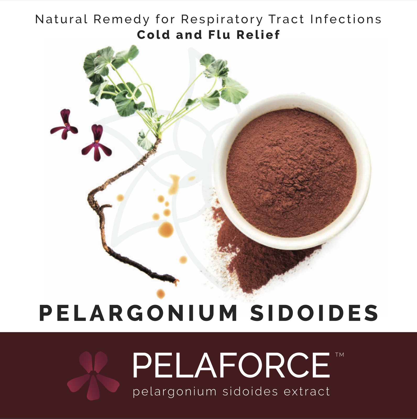 PELAFORCE™  pelargonium sidoides - pocket brochure digital