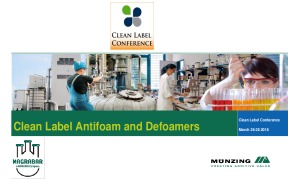 Clean Label Antifoam and Defoamers