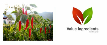 BACKWARD INTEGREATION PROGRAMME FOR CHILLIES- (IPM PRESENTATION)- VALUE INGREDIENTS