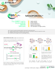 MESOPOROSIL® Productsheet