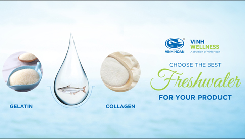 Why should you source collagen and gelatin from Vinh Wellness ?