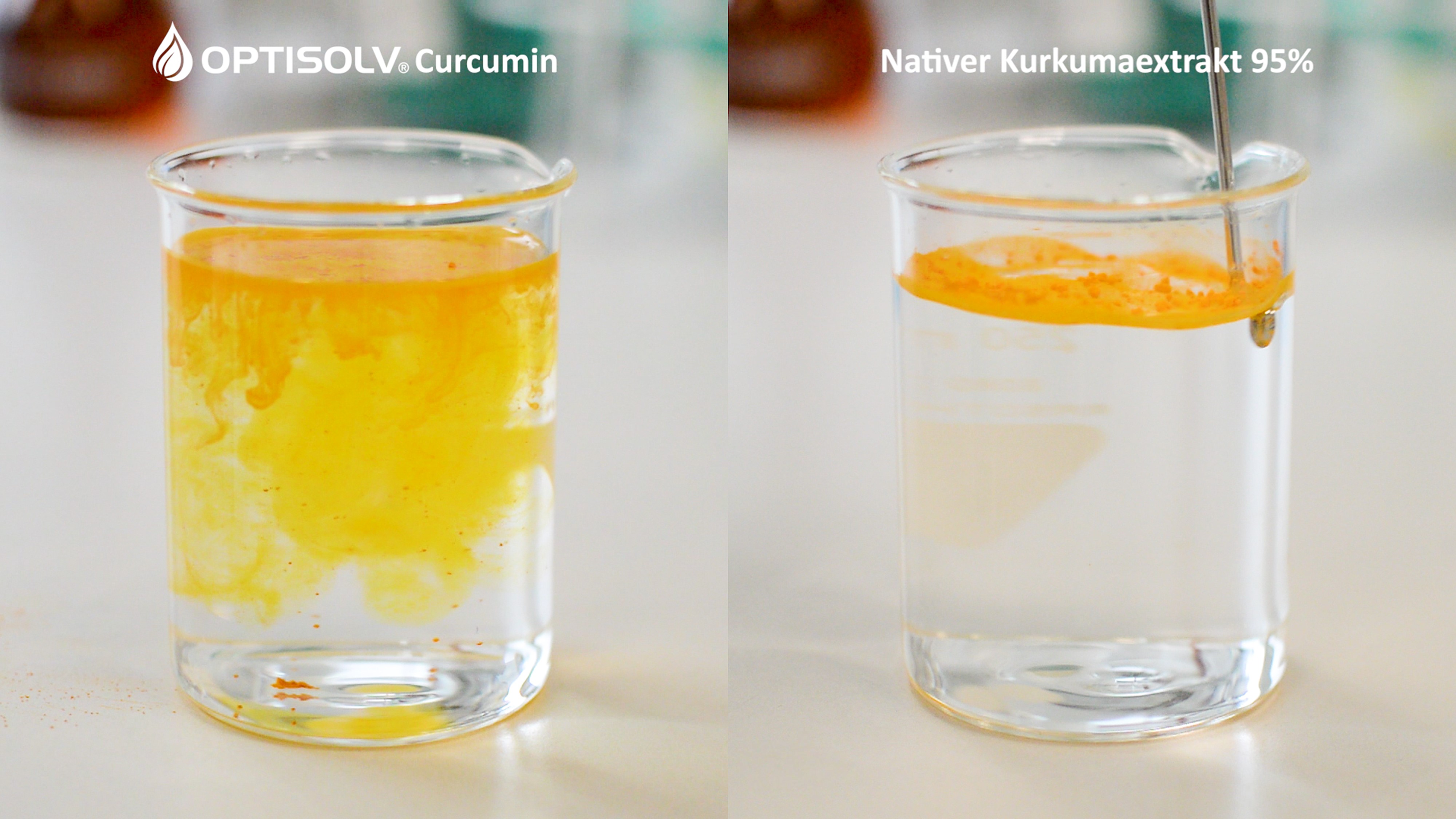 OPTISOLV® Curcumin Dissolution