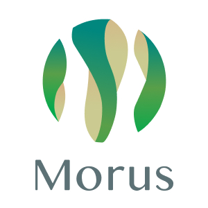 Morus SG