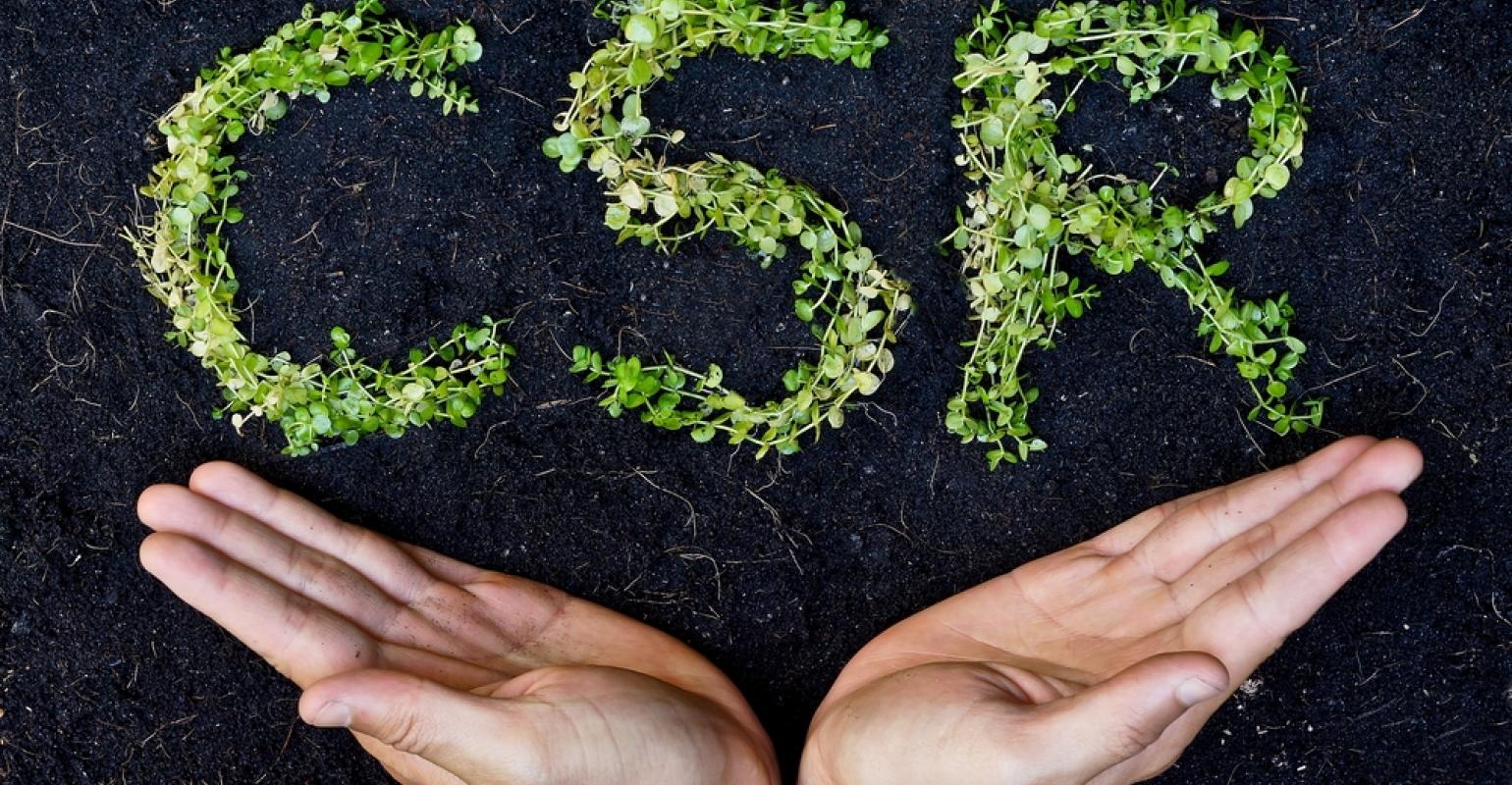 Callebaut publishes CSR report