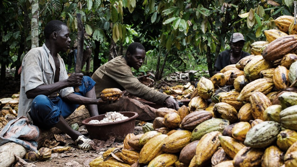 Cargill publishes second Cocoa Promise report