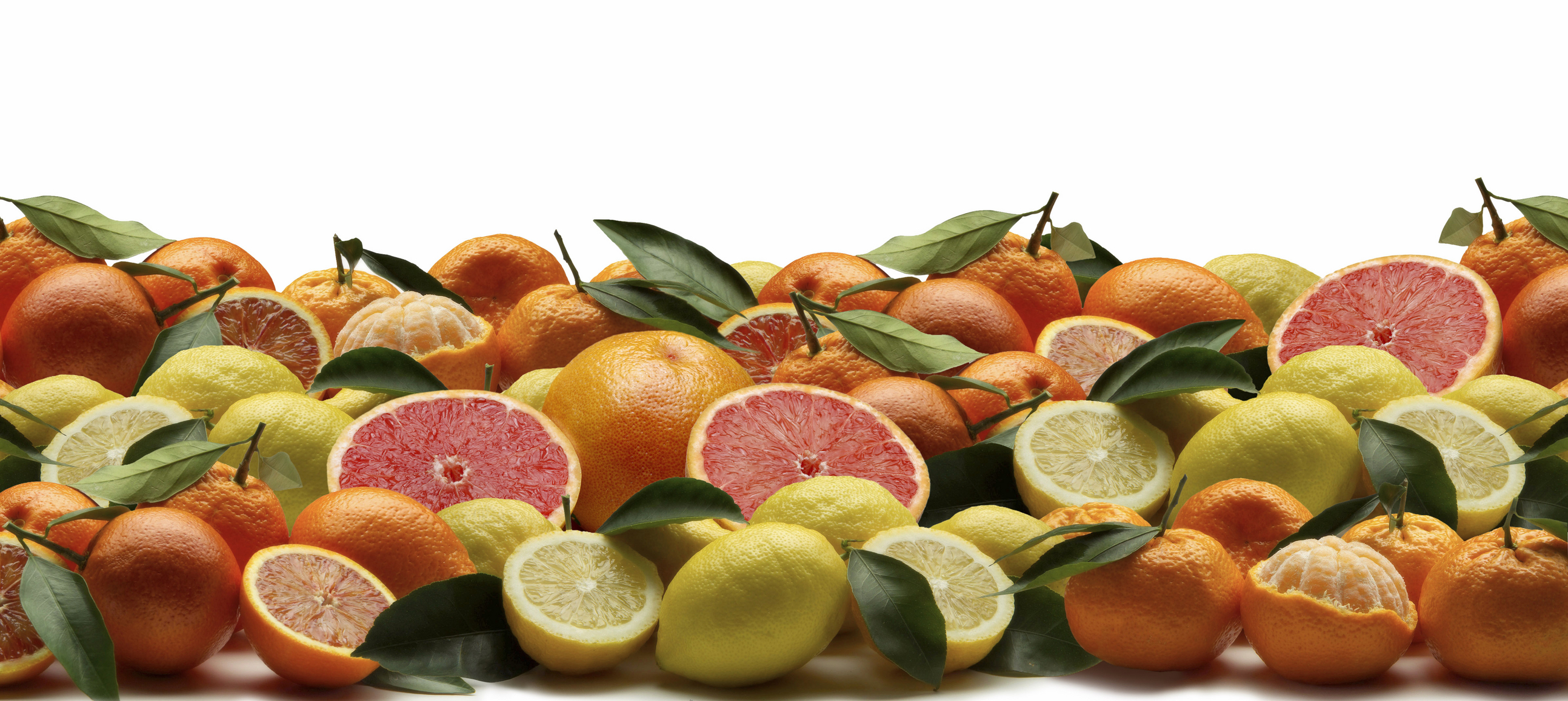 Givaudan launches citrus flavours