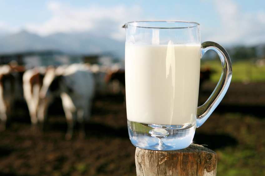 Fonterra lowers farmgate milk price