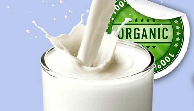 Fonterra sets organic milk price