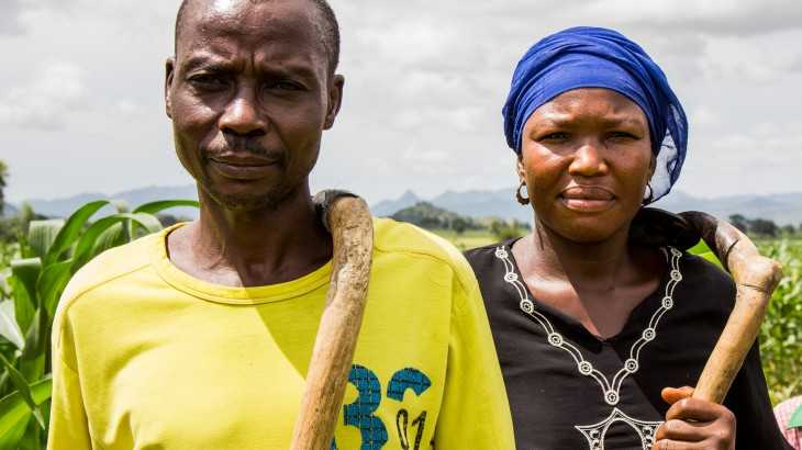 Nestlé to train 1,000 Nigerian farmers