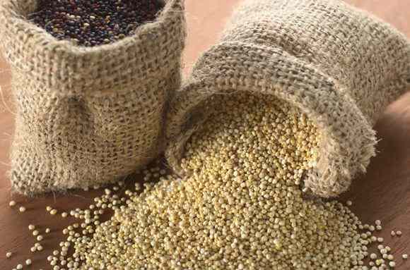 Quinoa protein extraction improved