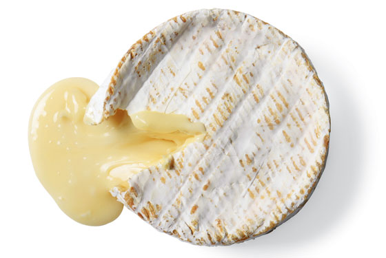 Chr. Hansen launches cheese coagulant