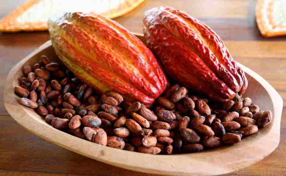 Olam opens Brazil cocoa plant