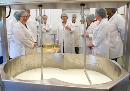 Ingredion introduces breakthrough in cheesemaking