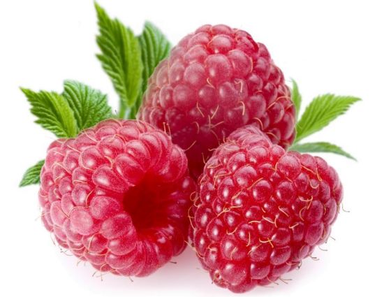 Studies reveal potential health benefits of raspberries