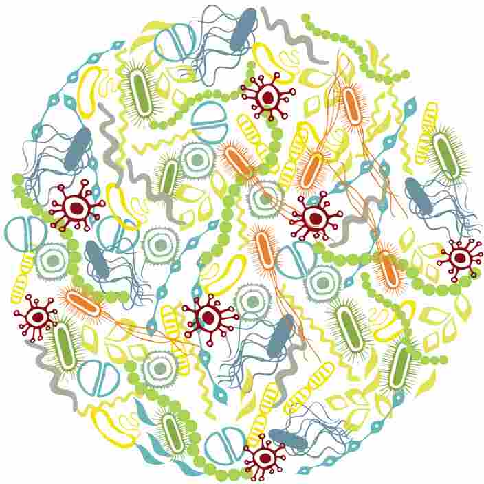DuPont Nutrition & Health announces development of Microbiome Venture