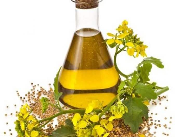 Cargill intros lowest saturated fat high oleic canola oil