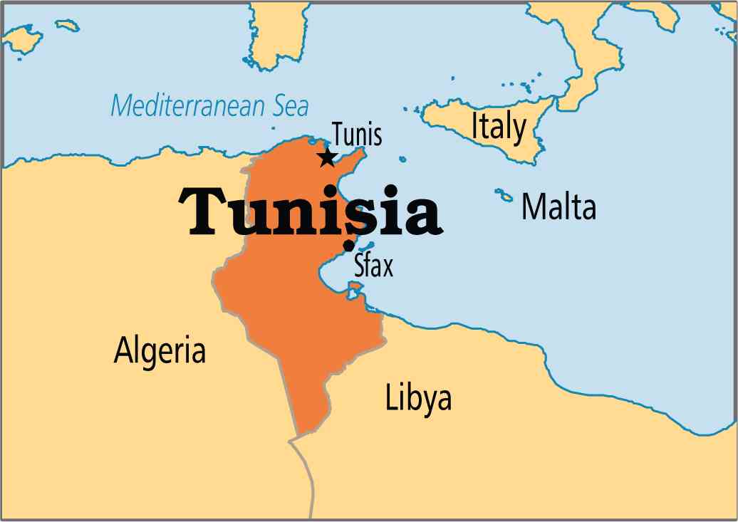 Emmi subsidiary increases stake in Tunisian dairy company