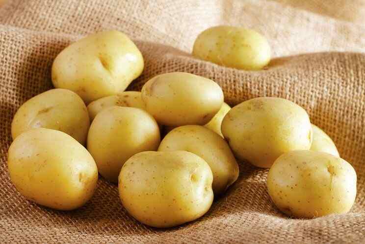 Cargill, AKV Langholt to invest in new potato starch unit
