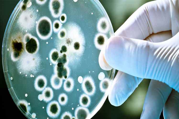 Campden BRI opens microbiology labs