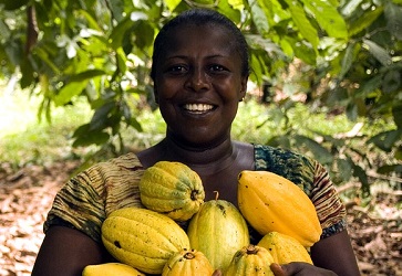 Callebaut, Ghana Cocoa Board sign LoI