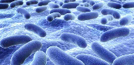 DuPont, Eurofins develop probiotic testing capability