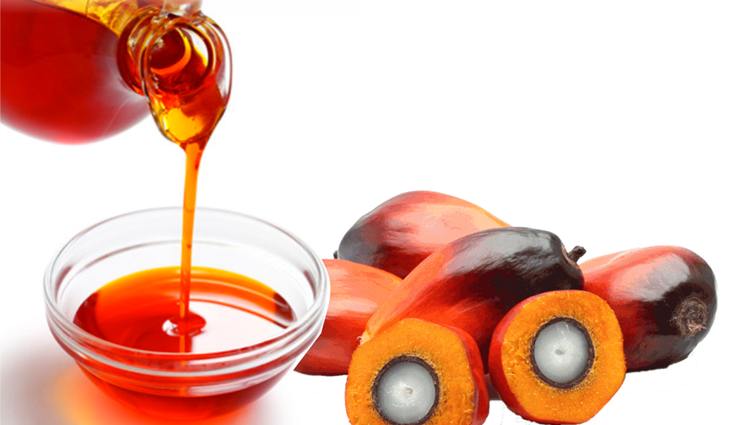 Bunge Loders Croklaan offers low 3-MCPDE palm oil