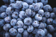 StePac develops blueberry packaging