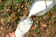 Mintel: India represents strong opportunity for milk