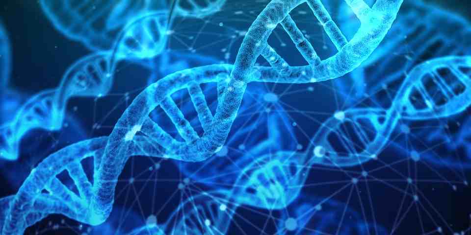 FSAI announces new DNA scanning tool
