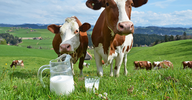 Chobani announces Milk Matters program