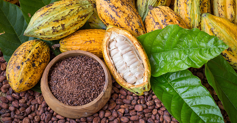 Nestlé creates chocolate using only cocoa fruit