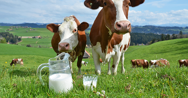 Arla reports results, sees rare stability