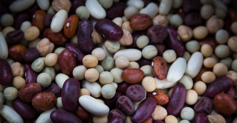 Exploring the future of plant protein in Europe