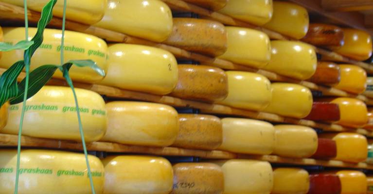 DSM to acquire Dutch cheese cultures company
