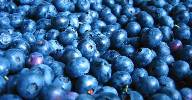 Firmenich: 2020 flavour of the year will be blueberry