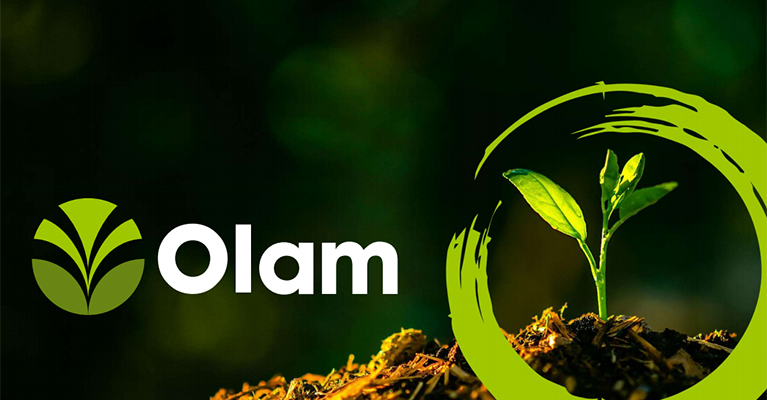 Olam completes reorganisation
