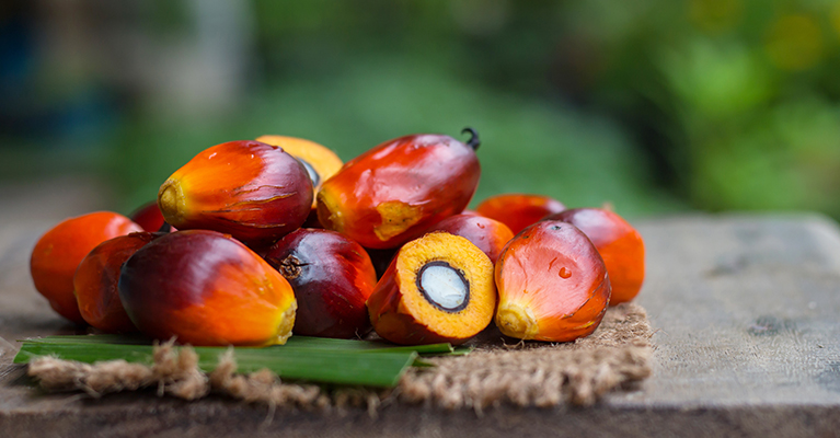 How realistic are sustainable palm oil goals?