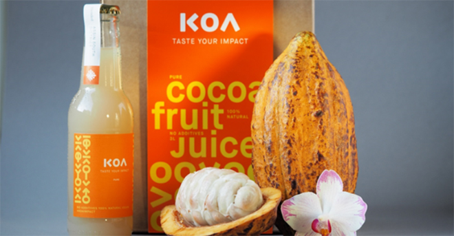 Cocoa fruit juice: The next big beverage ingredient?