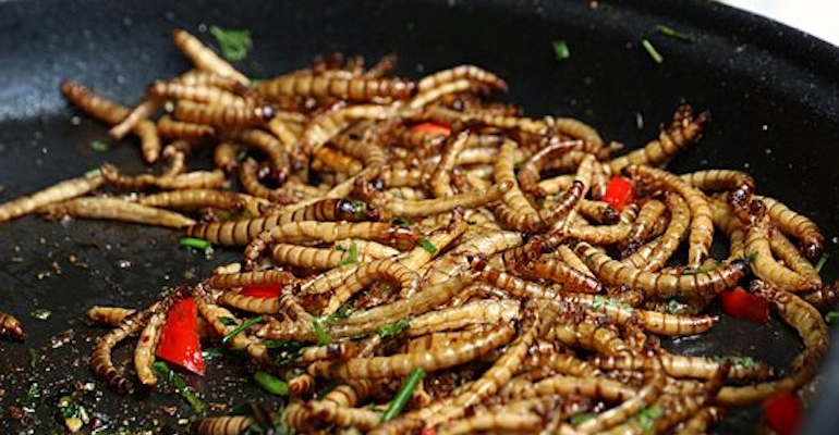 Europe looks to encourage insect consumption