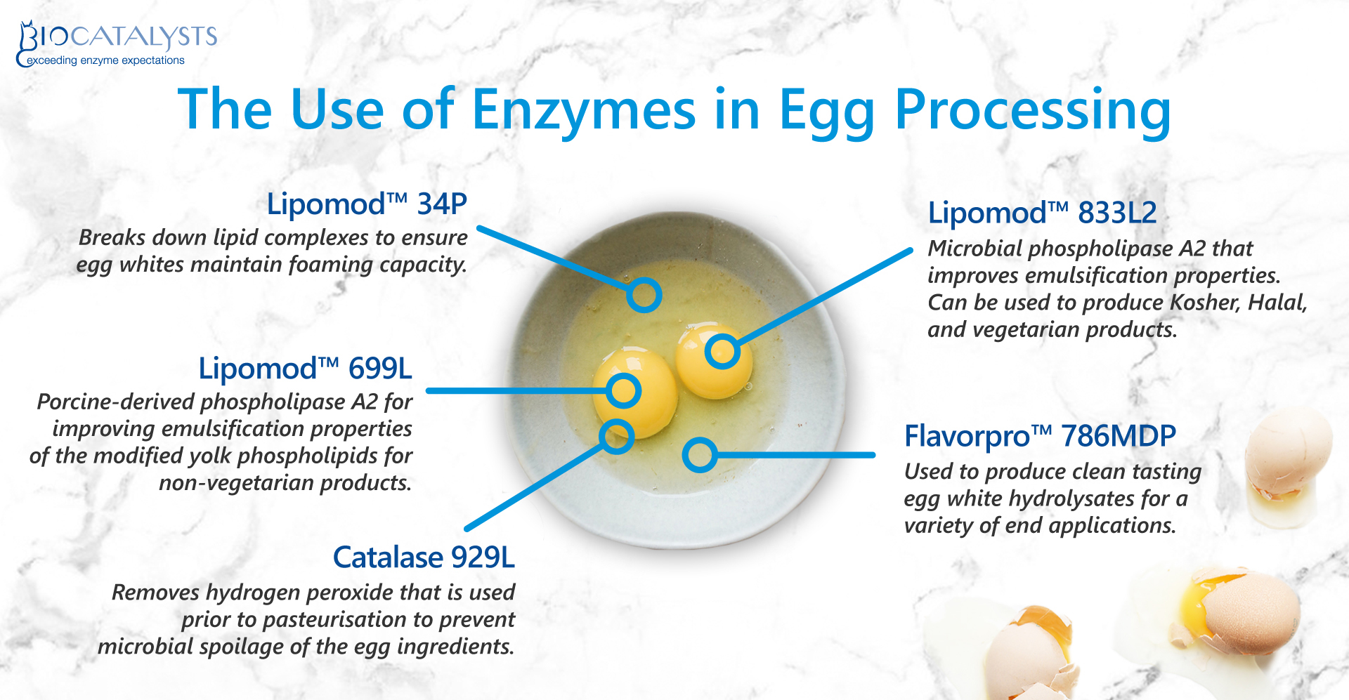 Biocatalysts launches Lipomod 833L2 for egg processing market