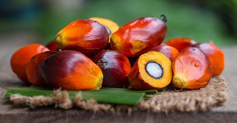 Pilot Phase II Clinical Trial Shows EVNol SupraBio™ Attenuate Retinal Bleeding In Diabetic Retinopathy