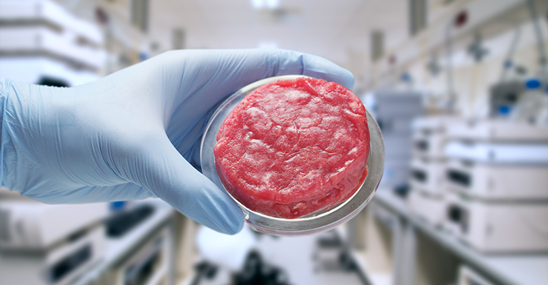 Price will dictate adoption of cultured meat in Southern Europe