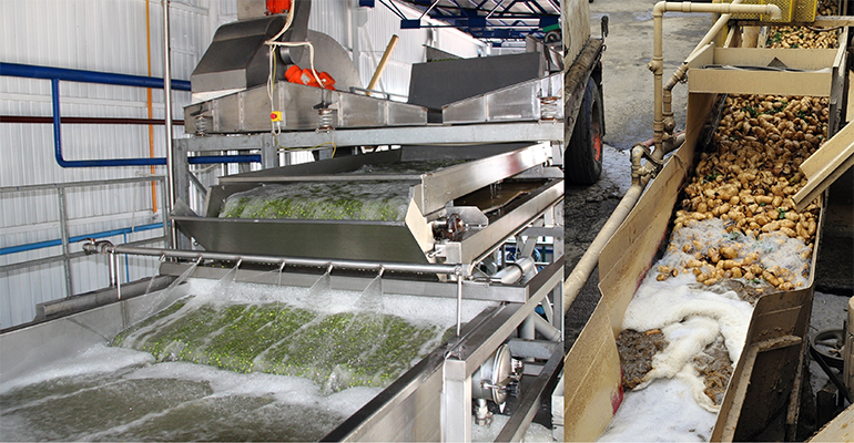 MÜNZING product highlights for fruit & vegetable washing – Invitation to webinar how to control foam in food processing